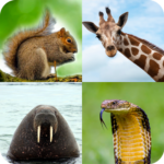 Animal Quiz Guess the Animal MOD Unlimited Money 1.1.21